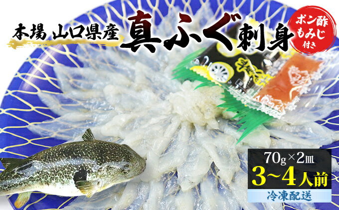 【ふるさと納税】ふぐ 刺身 真ふぐ 140g (70g×2皿) 山口県産 フグ 刺し身 魚 魚介 魚介類 海鮮 天然　【 萩市 】