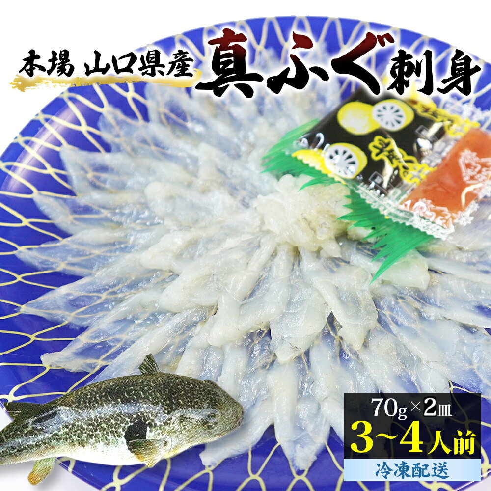 フグ刺し 【ふるさと納税】ふぐ 刺身 真ふぐ 140g (70g×2皿) 山口県産 フグ 刺し身 魚 魚介 魚介類 海鮮 天然　【 萩市 】