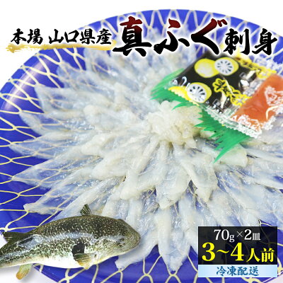 楽天ふるさと納税　【ふるさと納税】ふぐ 刺身 真ふぐ 140g (70g×2皿) 山口県産 フグ 刺し身 魚 魚介 魚介類 海鮮 天然　【 萩市 】