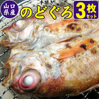 【ふるさと納税】山口県産 手開き のどぐろ 3枚セット 【のどぐろ・魚貝類・干物】