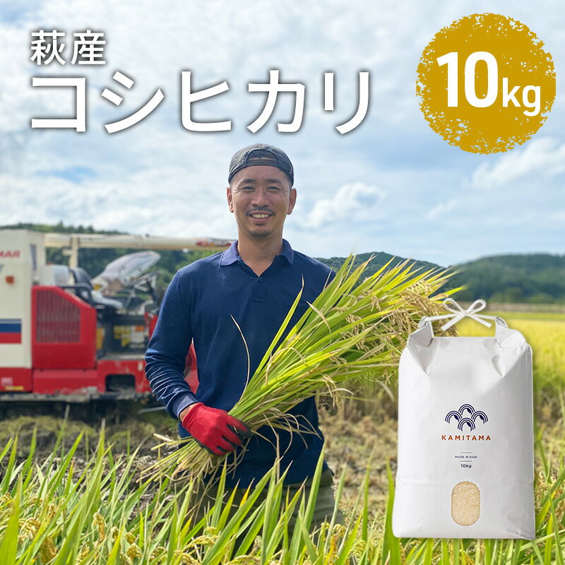 【ふるさと納税】コシヒカリ 令和5年 10kg 米 コメ こめ 萩産 KAMITAMA　【お米・コシヒカリ】