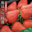 8位! 口コミ数「0件」評価「0」【道の駅萩往還の名物イチゴ】「鬼ほっぺ(登録商標)」 特選（15粒入）　【果物類・いちご・苺・イチゴ】　お届け：2025年1月15日～3月3･･･ 