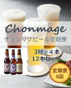 4位! 口コミ数「0件」評価「0」【萩の地ビールを堪能！】チョンマゲビール定期便【6回コース】　【定期便・地ビール・お酒・ビール】