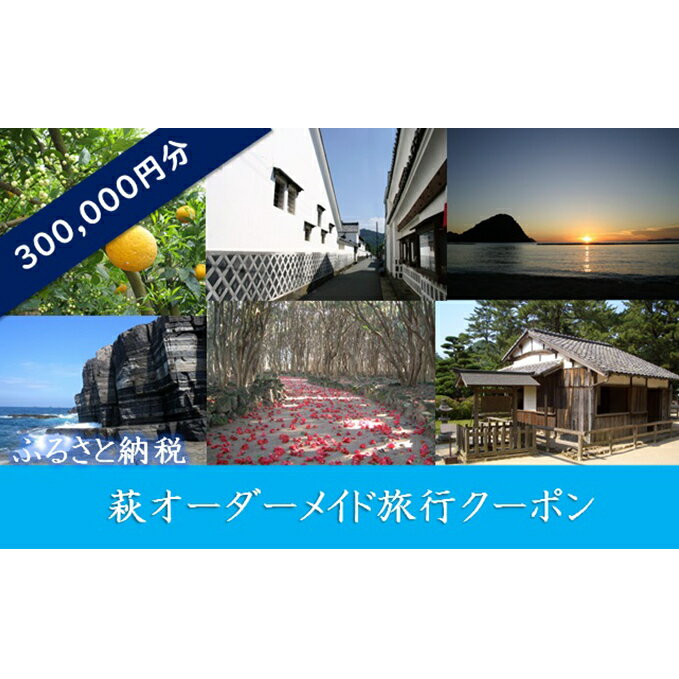 【ふるさと納税】萩オーダーメイド旅行クーポン300，000円分　【パッケージ旅行・旅行】