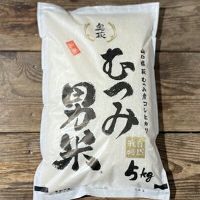 自然栽培 むつみ男米 玄米 10kg　【お米・コシヒカリ・玄米・米・10kg】