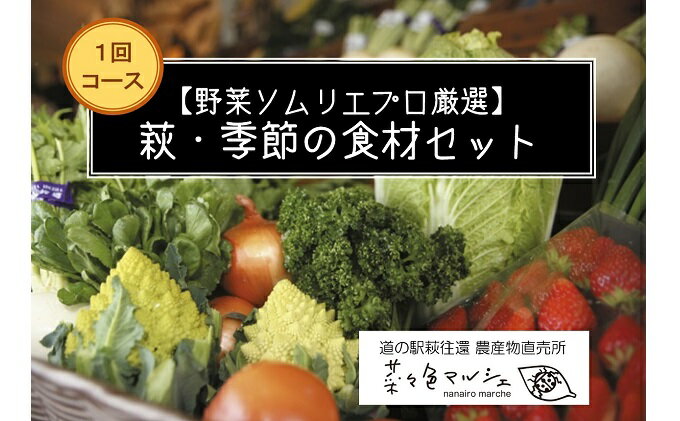 【ふるさと納税】【野菜ソムリエプロ厳選】萩・季節の食材セット【定期便お試し1回コース】　【野菜・野菜セット・果物類・フルーツ】 2