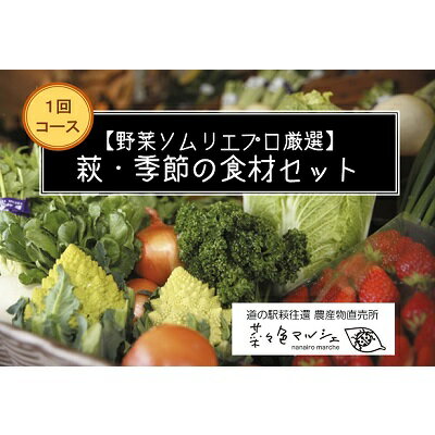 【ふるさと納税】【野菜ソムリエプロ厳選】萩・季節の食材セット【定期便お試し1回コース】　【野菜・野菜セット・果物類・フルーツ】 1