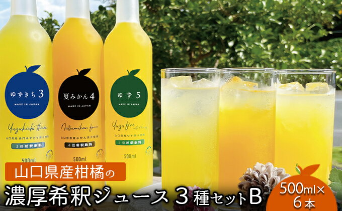 【ふるさと納税】 柑橘 ジュース 濃厚希釈 山口県産 3種セットB 500ml×6本 セット ギフト　【 ジュース 柑橘 ゆず 夏みかん 柚子 希釈用 サワー ソフトドリンク ドレッシング ギフト 】　お届け：2023年4月1日より順次出荷。