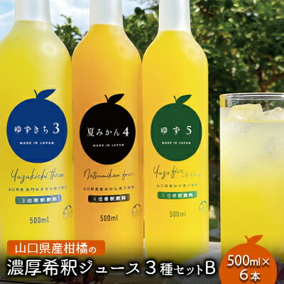 13位! 口コミ数「0件」評価「0」 柑橘 ジュース 濃厚希釈 山口県産 3種セットB 500ml×6本 セット ギフト　【 ジュース 柑橘 ゆず 夏みかん 柚子 希釈用 サワ･･･ 