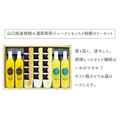 7位! 口コミ数「0件」評価「0」 柑橘 濃厚希釈 ジュース もっちり 柑橘ゼリー セット 山口県産 果物 フルーツ ギフト　【飲料類・果汁飲料・セット・ジュース・お菓子・ゼ･･･ 