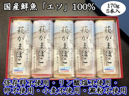 萩かまぼこ 170g 紅白5本【化粧箱入】（国産鮮魚エソ100％）　【 練り物 かまぼこ エソ 焼き抜き蒲鉾 低カロリー 正月 板わさ おつまみ 】　お届け：2024年12月10日～2024年12月28日