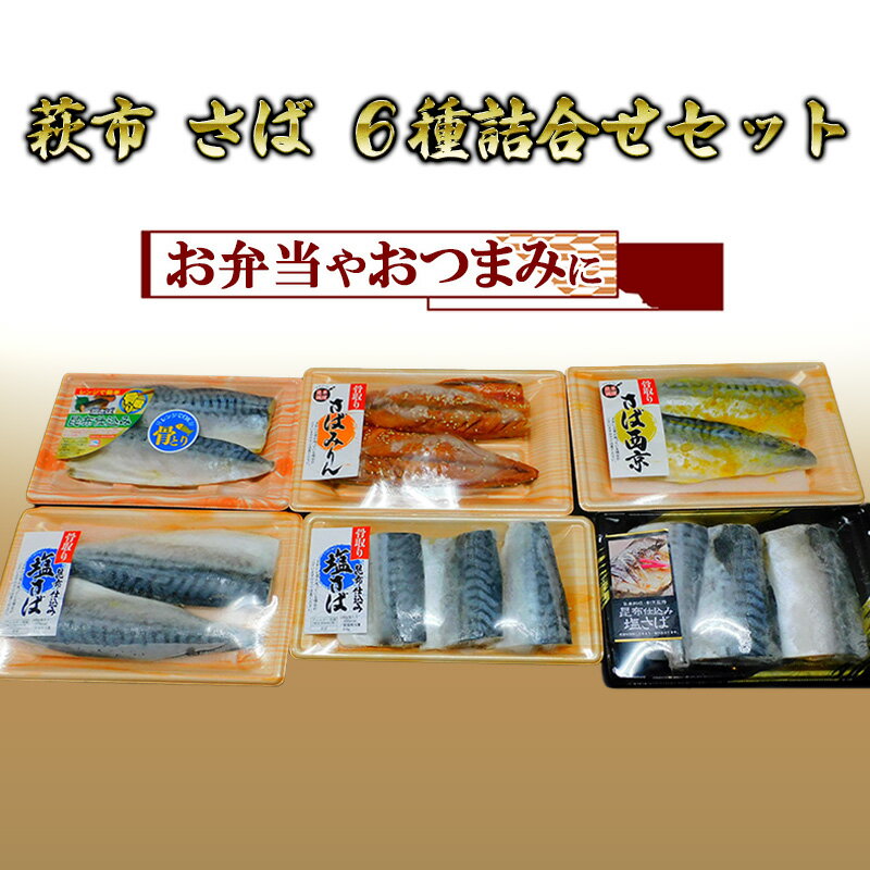 さば セット 6点 詰合せ 魚 加工品 詰め合わせ 塩サバ 塩さば さばみりん 西京漬け 松村産業 [萩市]