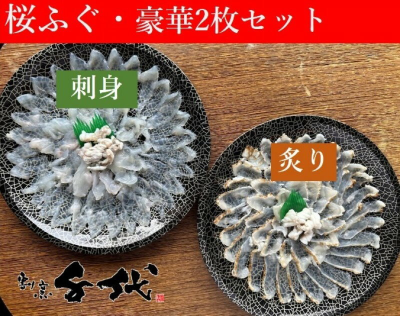 ふぐ 刺身 炙り セット 桜ふぐ 豪華2枚 セット (2〜3人前) 割烹千代 萩 フグ 魚 [萩市] お届け:2023年12月〜2024年6月