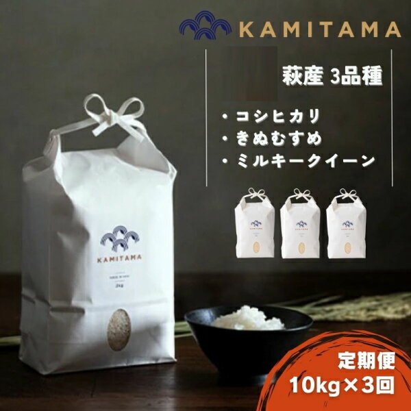 【ふるさと納税】定期便 三品種 米 令和7年 10kg×3回 コメ こめ 萩産 KAMITAMA