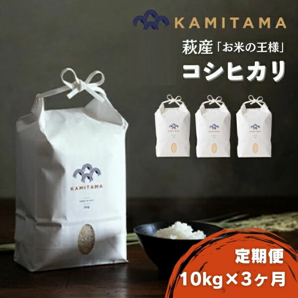 乐天商城 - 【ふるさと納税】定期便 3か月 コシヒカリ 令和7年 10kg 米 コメ こめ 萩産 KAMITAMA