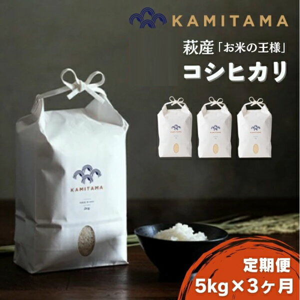 樂天商城 - 【ふるさと納税】定期便 3か月 コシヒカリ 令和7年 5kg 米 コメ こめ 萩産 KAMITAMA