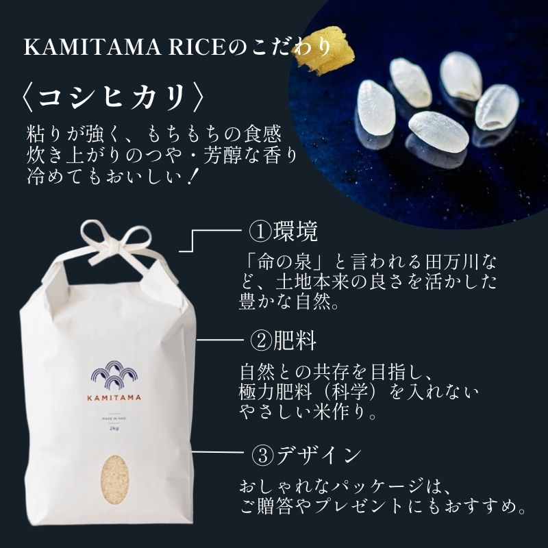 【ふるさと納税】定期便 3か月 コシヒカリ 令和7年 5kg 米 コメ こめ 萩産 KAMITAMA