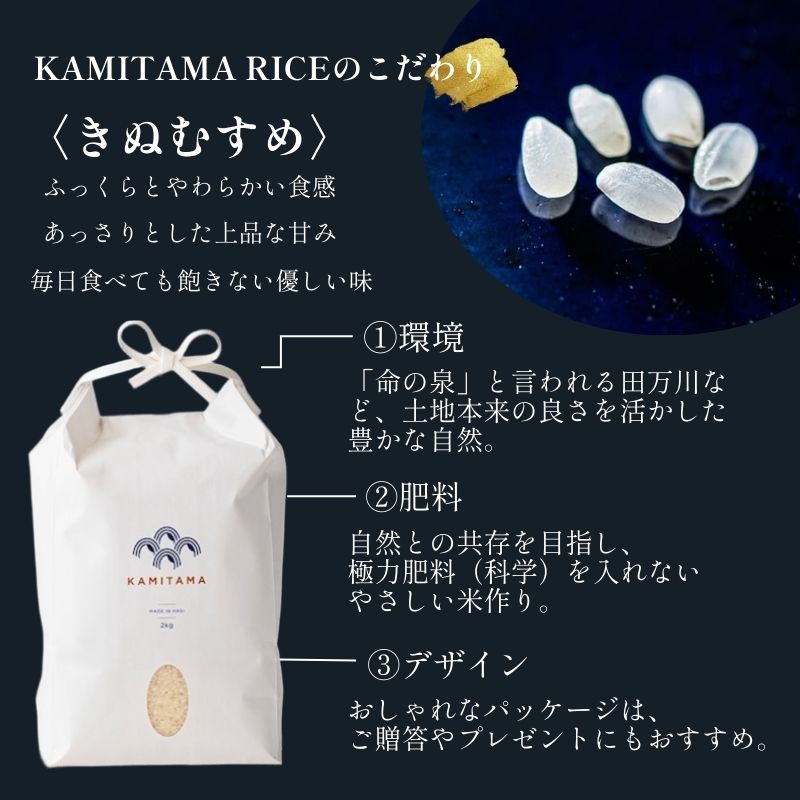 【ふるさと納税】定期便 3か月 きぬむすめ 令和7年 5kg 米 コメ こめ 萩産 KAMITAMA