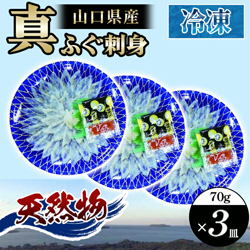 【ふるさと納税】山口県産 真ふぐ 刺身 210g (70g×3皿) 国産 日本産 食品 グルメ 料理 おかず 惣菜 お..