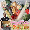 【ふるさと納税】野菜ソムリエプロselect/萩・季節の食材セット お試し1回コース