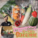 【ふるさと納税】野菜ソムリエプロselect/萩・季節の食材定期便