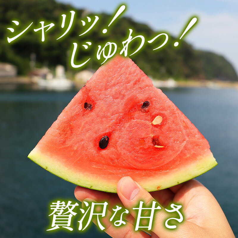 【ふるさと納税】相島すいか