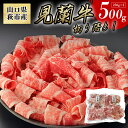 【ふるさと納税】【数量限定】山口県萩市産 見蘭牛 切り落とし 500g (250g×2)国産 肉 お肉 牛