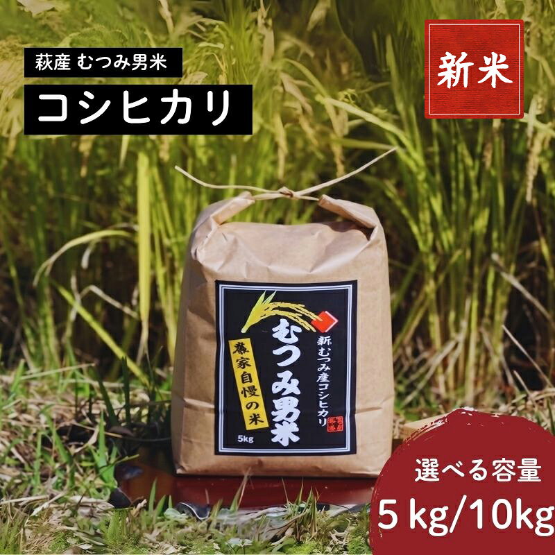 選べる！むつみ男米 白米 5kg～10kg