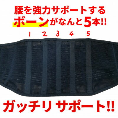 【ふるさと納税】腰補助サポーター Mサイズ【日本製】【1285254】