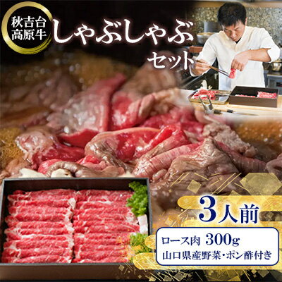 【ふるさと納税】秋吉台高原牛ロース肉300g しゃぶしゃぶセット 2〜3人前【冷蔵】【配送不可地域：離島】【1363350】