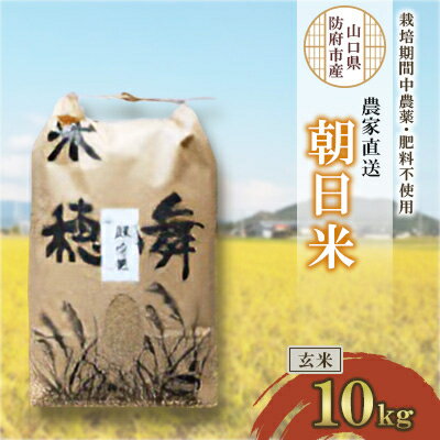 【ふるさと納税】栽培期間中農薬・肥料不使用で作った朝日米 玄米10kg_ 米 朝日米 こめ お米 おこめ コメ 玄米 げんまい 10kg ごはん ご飯 おにぎり 農薬不使用 肥料不使用 産地直送 産直 農家直送 山口県 防府市 贈答 ギフト プレゼント 送料無料 【1403841】