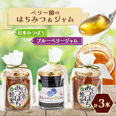 日本みつばちの「ハチミツ」[非加熱]とハチミツのみで加糖したブルーベリージャムのセット
