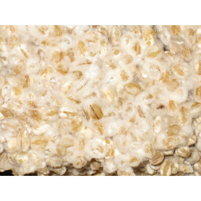 山口県防府市の画像3