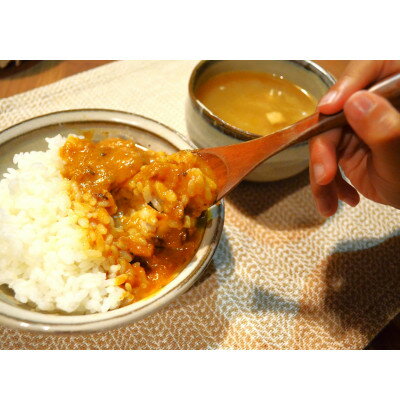 1位! 口コミ数「0件」評価「0」【防府の玉葱】農家カレー チキン甘口4個セット【1476938】