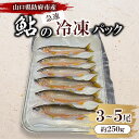 【ふるさと納税】山口県防府市佐波川で獲れる天然鮎 約250g【配送不可地域:離島】【1564366】
