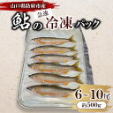 【ふるさと納税】山口県防府市佐波川で獲れる天然鮎 約500g【配送不可地域:離島】【1584547】