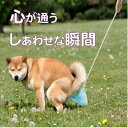 【ふるさと納税】らふーん【普通枠】特許技術で手が汚れない!クセになるフンキャッチャー(小型犬~大型犬用)【1615812】