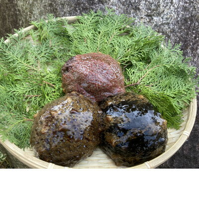 防府市産天然赤なまこ500g[配送不可地域:離島]