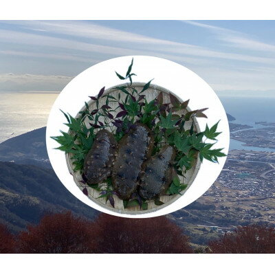 防府市産天然青なまこ1kg[配送不可地域:離島]