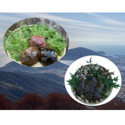 防府市産天然赤なまこ青なまこ食べ比べセット[配送不可地域:離島]