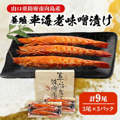 【山口県防府市向島産】養殖車海老味噌漬け　90g(3尾)×3パック(冷凍)【配送不可地域：離島】【1261753】