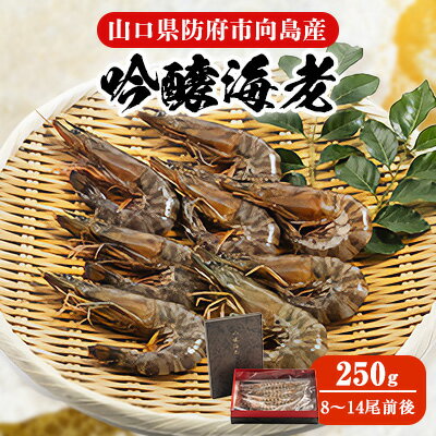 [山口県防府市向島産]吟醸海老250g[配送不可地域:離島]