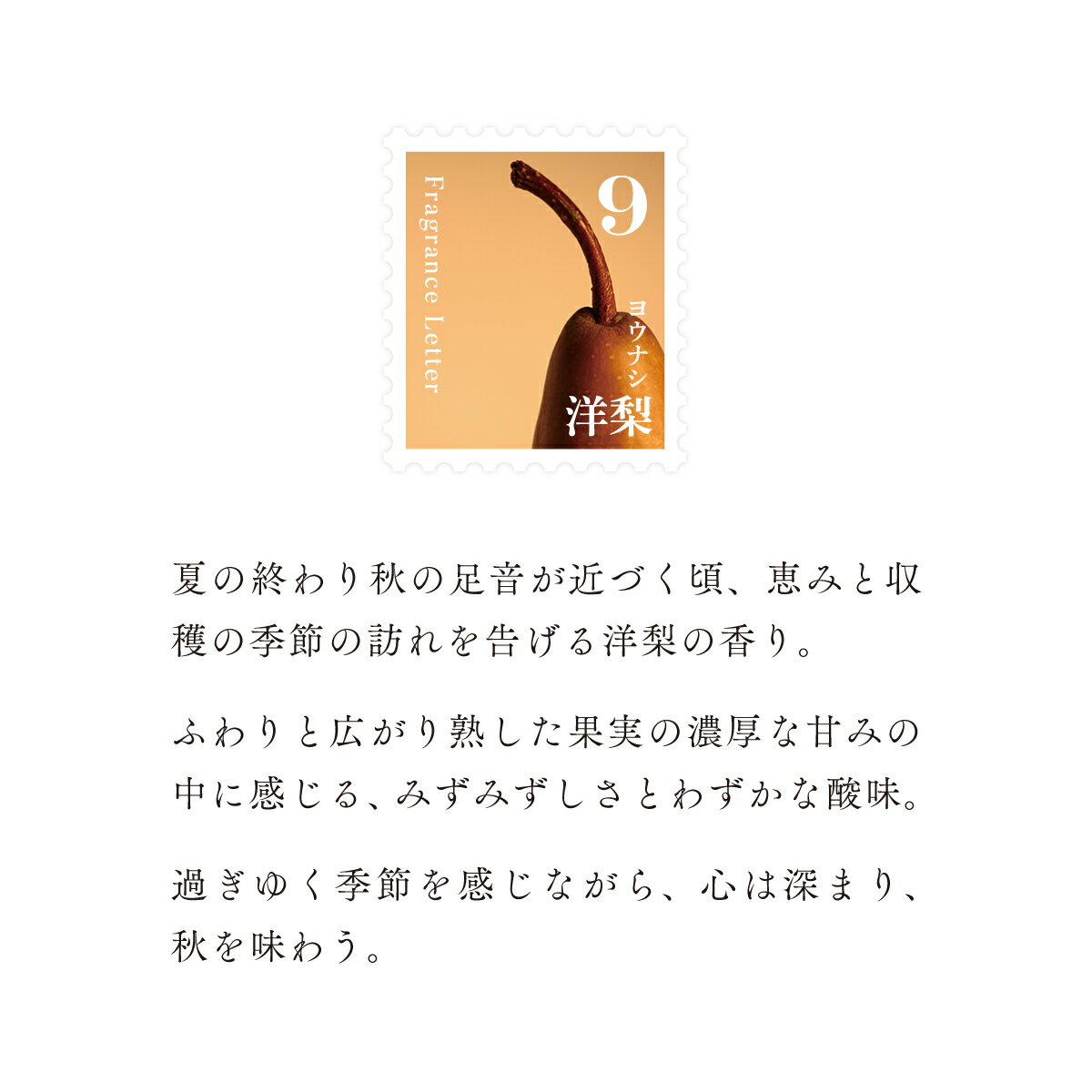 【ふるさと納税】移ろう四季のディフューザー【秋韻】〜秋の香り3種セット〜 癒しの芳香剤・ルームフレグランスギフト gone works 山口県 防府市 B-C19 リードディフューザー セット アロマ スティック 日本製 天然香料 インテリア 玄関 寝室 贈り物 ギフト
