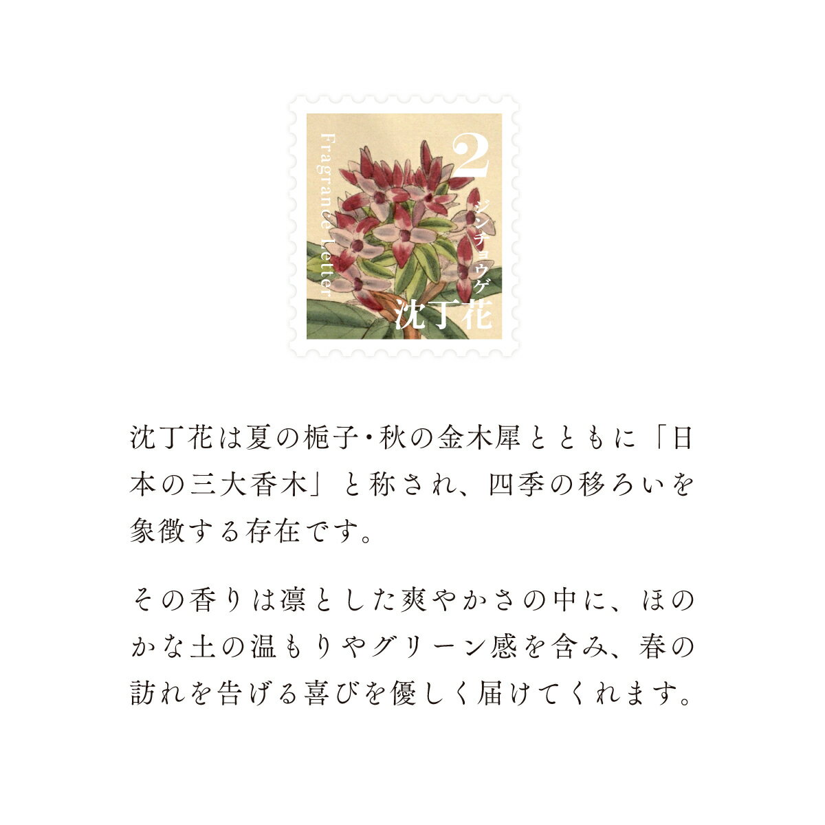 【ふるさと納税】移ろう四季のディフューザー【沈丁花／ジンチョウゲ】〜2月の香り〜 癒しの芳香剤・ルームフレグランスギフト gone works 山口県 防府市 O-I29リードディフューザー アロマ スティック インテリア 玄関 寝室 天然香料 日本製 贈り物 プレゼント 誕生日