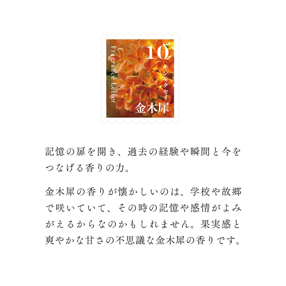 【ふるさと納税】移ろう四季のディフューザー【金木犀／キンモクセイ】〜10月の香り〜 癒しの芳香剤・ルームフレグランスギフト gone works 山口県 防府市 O-I38リードディフューザー アロマ スティック インテリア 玄関 寝室 天然香料 日本製 贈り物 プレゼント 誕生日