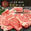 【ふるさと納税】山口県産 秋吉台高原牛リブロース焼肉500g_ 牛肉 肉 和牛 リブロース 国産 焼肉 ビーフ 山口県 高原牛 秋吉台 交雑種 黒毛和種 無角和種 和牛間交雑種 冷凍 グルメ 贈答 ギフト 500g 産地直送 牛脂付 【配送不可地域:離島】【1444666】 17,000円