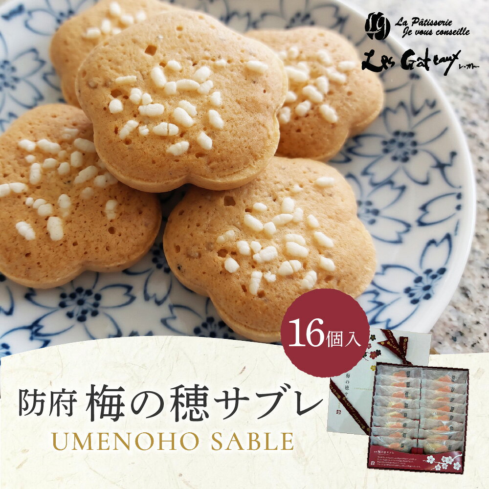 梅の穂サブレ(16個入) 有限会社レ・ガトー 山口県 防府市 A-E55 サブレ クッキー 焼き菓子 詰合せ 個包装 バター ごま お菓子 ギフト スイーツ 和風 防府ブランド