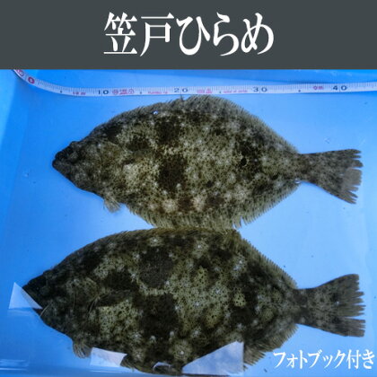 No.003 笠戸ひらめ ／ ヒラメ 瀬戸内 新鮮 フォトブック 送料無料 山口県