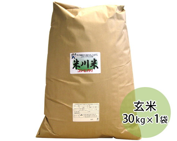 【ふるさと納税】No.027 米川こしひかり　玄米　30kg ／ お米 コシヒカリ 希少品 送料無料 山口県