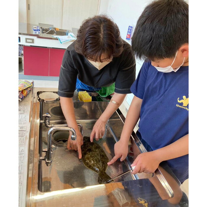 【ふるさと納税】No.171 地元漁師の奥様直伝！「魚さばき体験」 ／ 笠戸ひらめ さかな 捌き方 送料無料 山口県 2